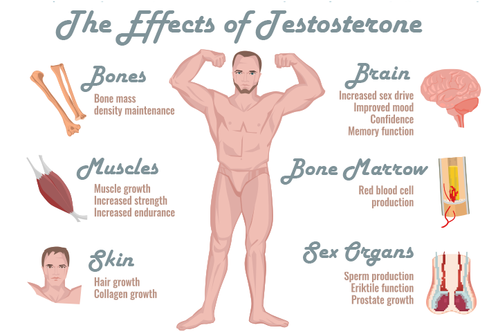 Testosterone: The Fuel For A Fulfilled Life